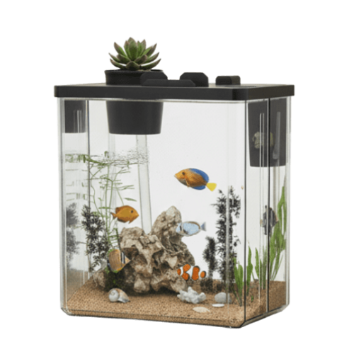 صندوق اسماك